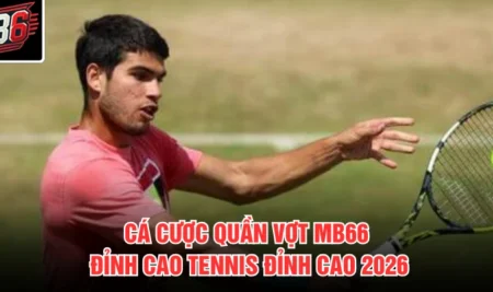 Cá Cược Quần Vợt MB66