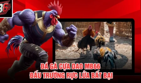 Đá Gà Cựa Dao MB66