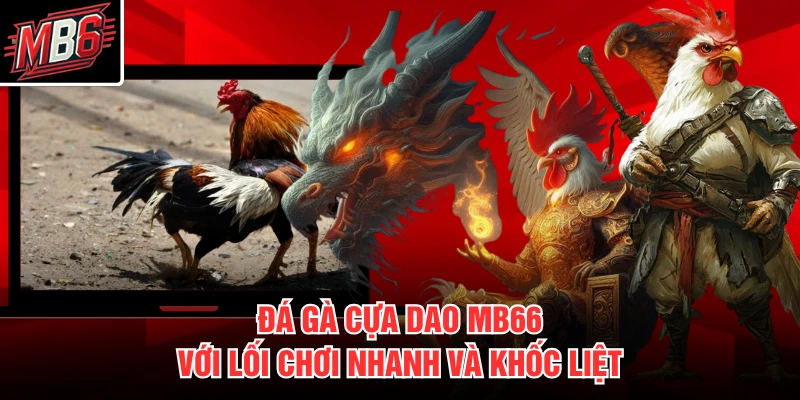 Đá gà cựa dao MB66 với lối chơi nhanh và khốc liệt