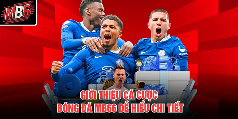 Giới thiệu cá cược bóng đá MB66 dễ hiểu chi tiết