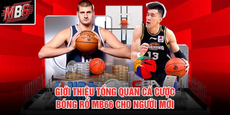 Giới thiệu tổng quan cá cược bóng rổ MB66 cho người mới