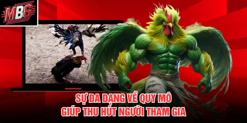 Sự đa dạng về quy mô giúp thu hút người tham gia