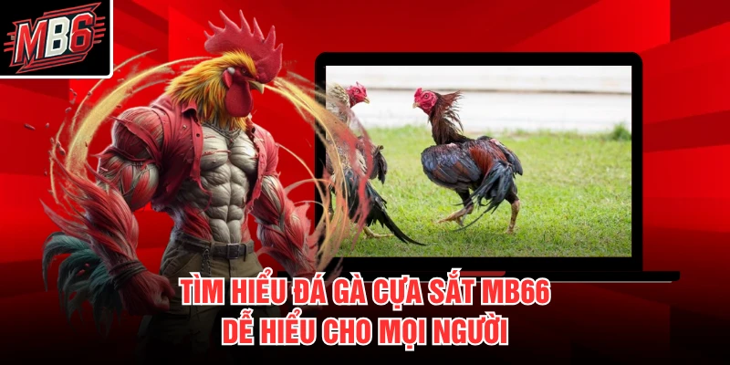 Tìm hiểu đá gà cựa sắt MB66 dễ hiểu cho mọi người
