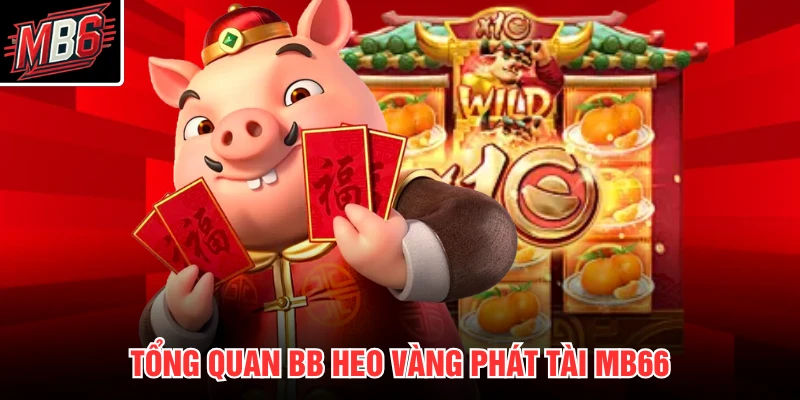 Tổng quan BB heo vàng phát tài MB66