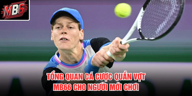 Tổng quan cá cược quần vợt MB66 cho người mới chơi